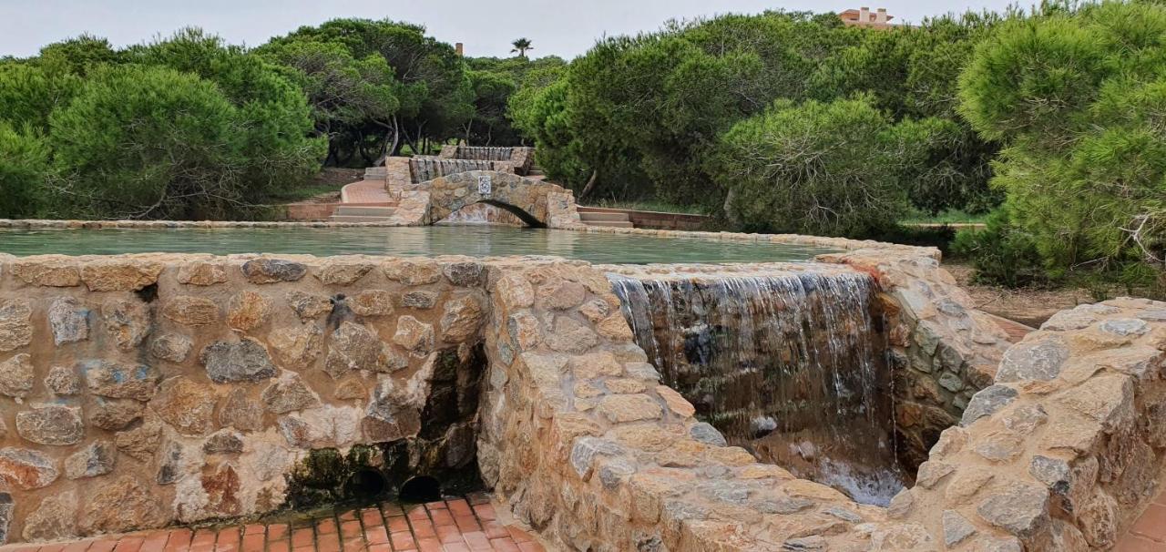 Ferienwohnung Torrevieja Dış mekan fotoğraf