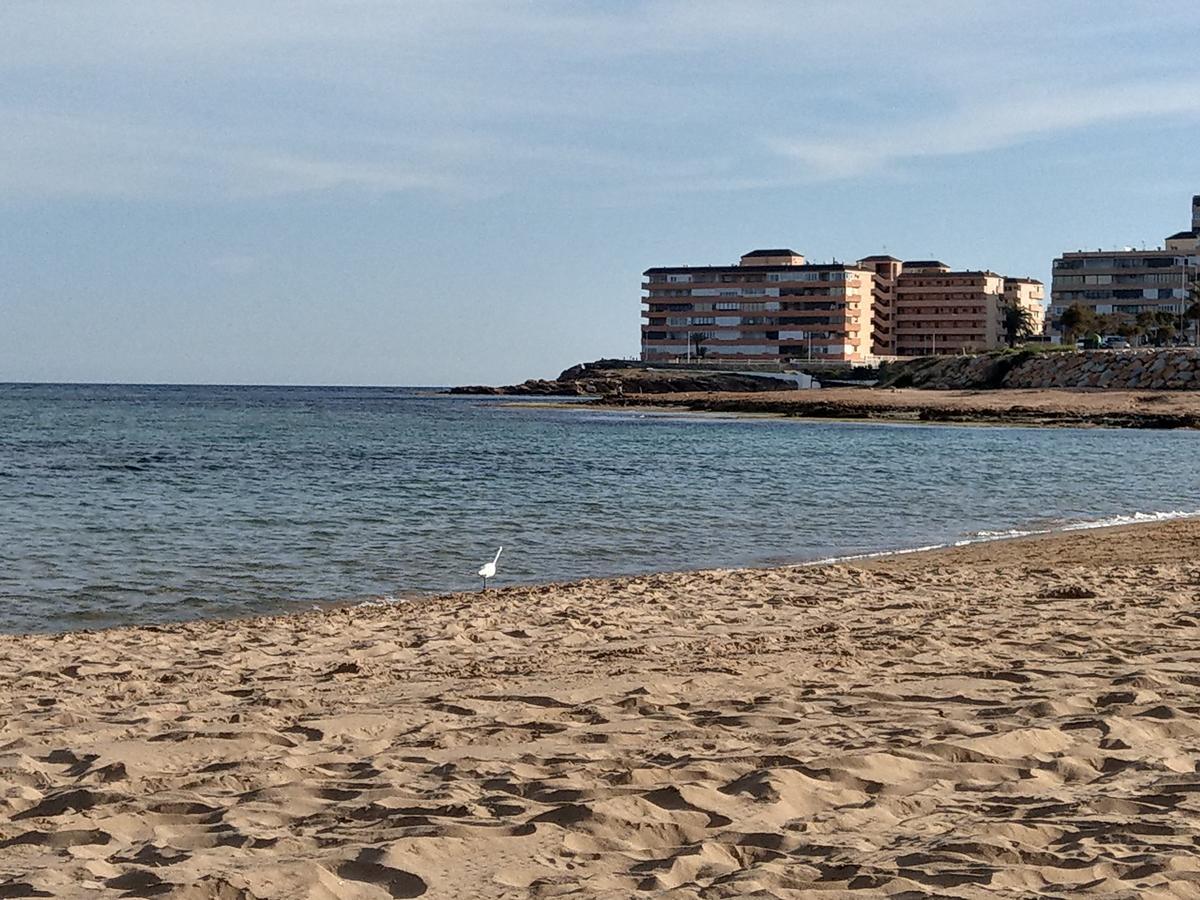 Ferienwohnung Torrevieja Dış mekan fotoğraf