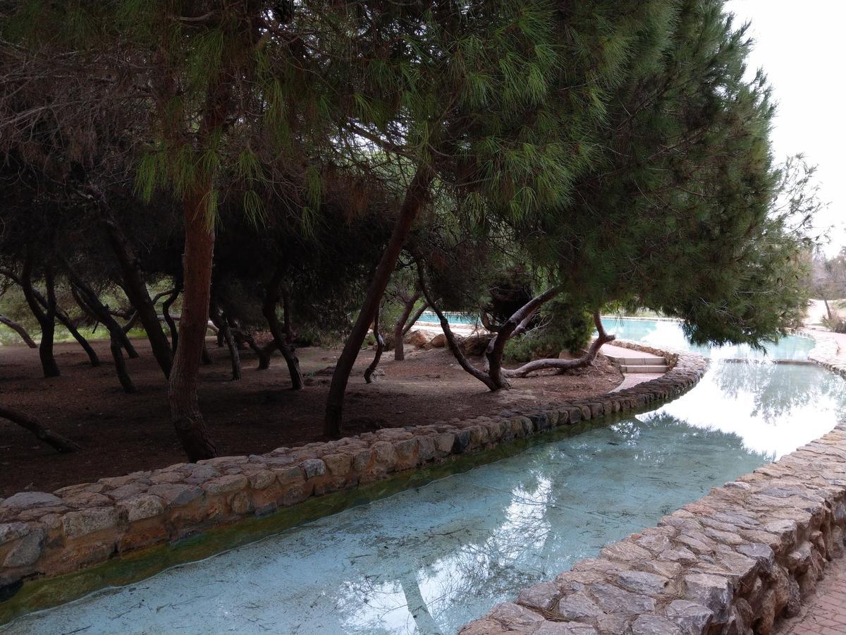 Ferienwohnung Torrevieja Dış mekan fotoğraf