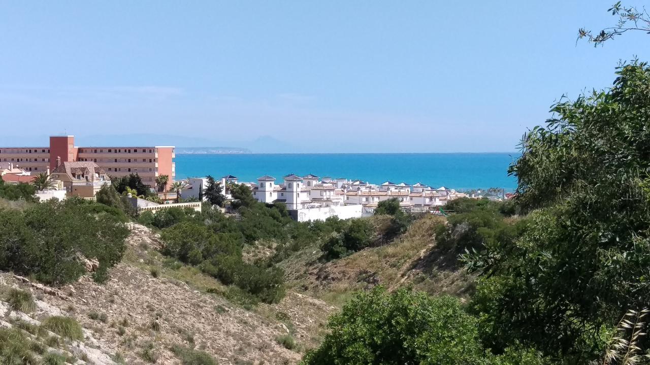 Ferienwohnung Torrevieja Dış mekan fotoğraf